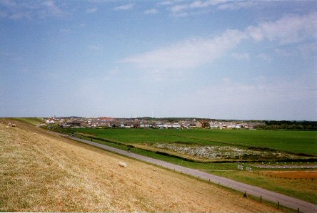 1999-07-12 Hazepolder 3 (richting 't vlak van Petten)